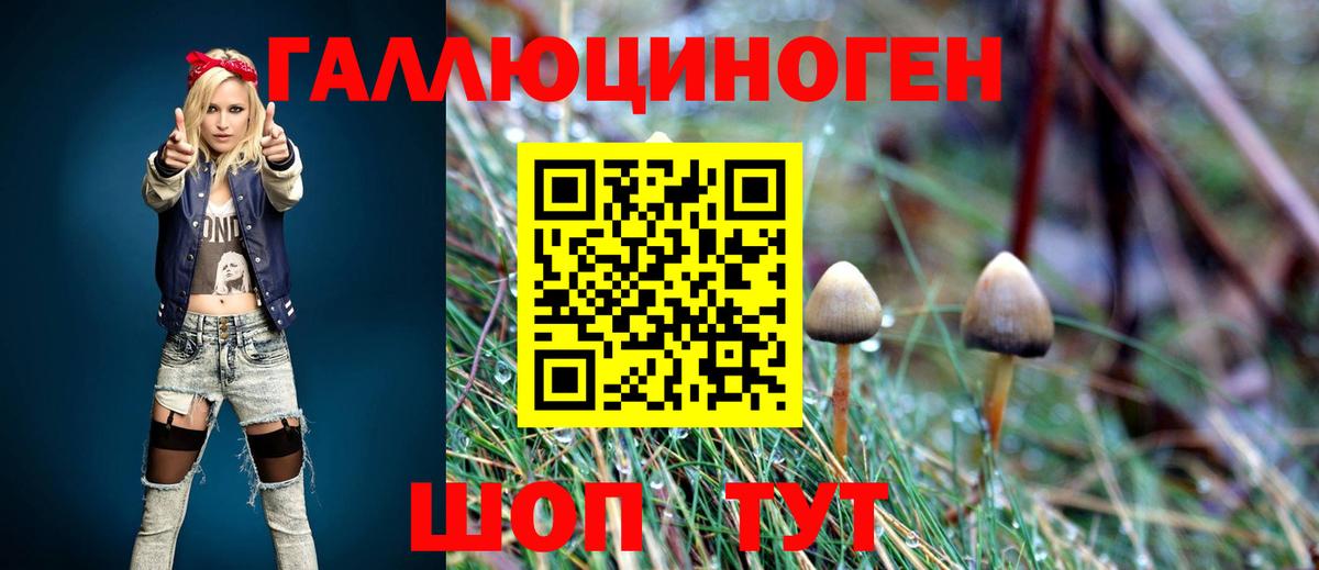 Галлюциногенные грибы Cubensis Кинель